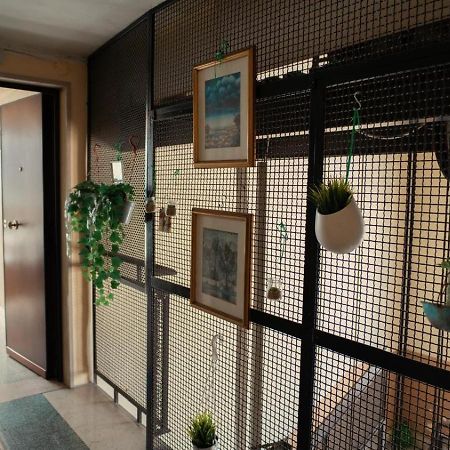 Casa Di Joe Villa บารี ภายนอก รูปภาพ